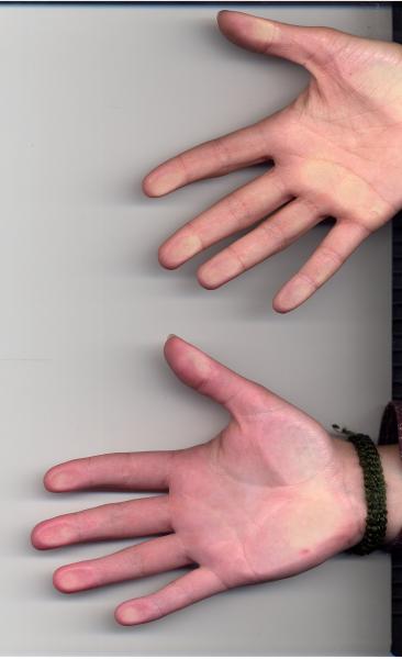 La prochaine fois on y met le chat !