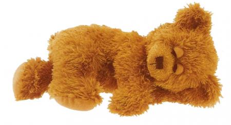 Et pendant ce temps....