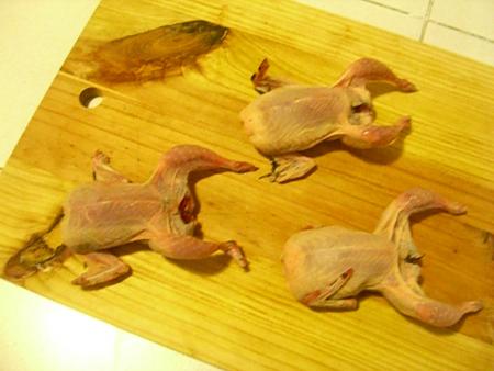 ATTENTION - HUMOUR DEPLACE 1