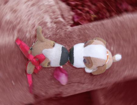 Amour, quand tu nous tiens...